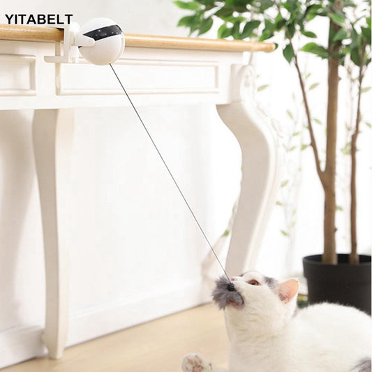 Brinquedo para gato ioiô elétrico