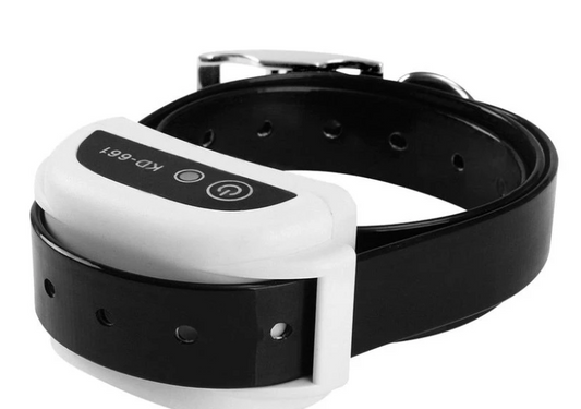 colar de rasteio para cachorro