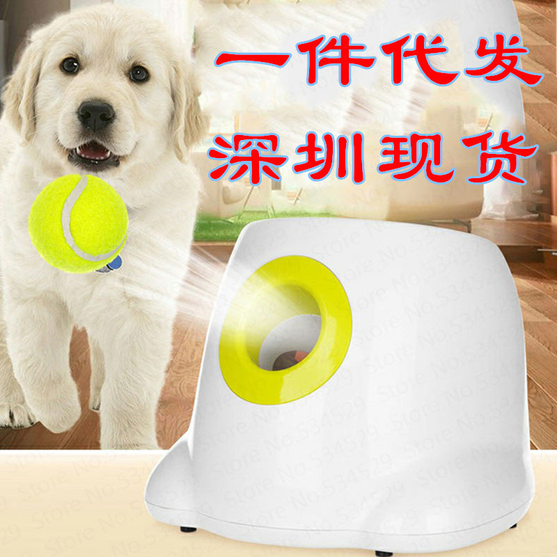 Máquina de Arremesso Automática para cão