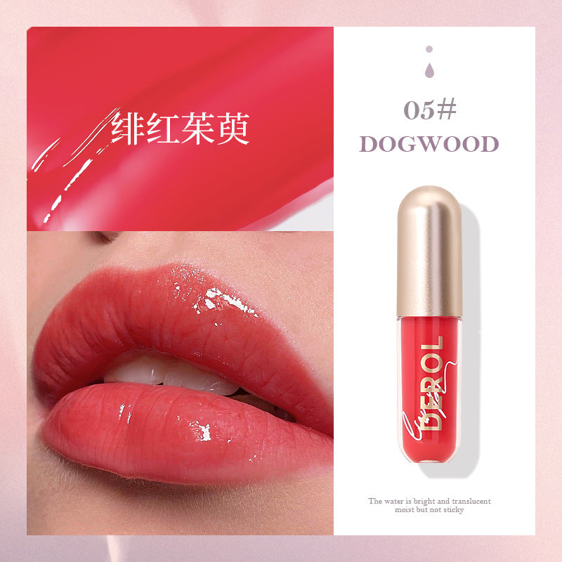 Brilho labial líquido hidratante e volumizador de lábios com gengibre e menta